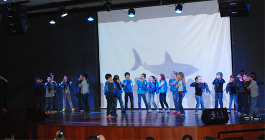 imagem 5