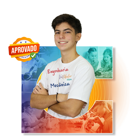 João Vitor Tieppo Hamagushi