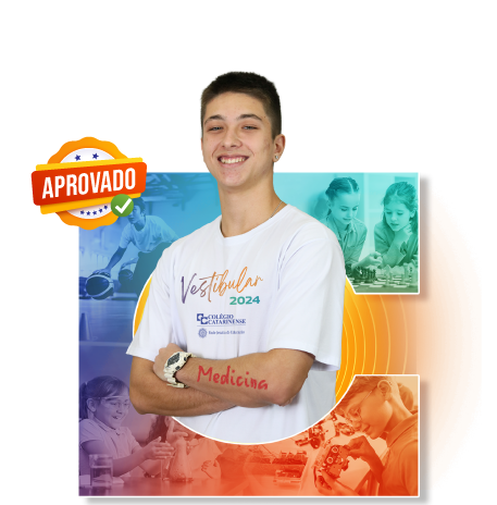 Luiz Henrique Barletta Tavares