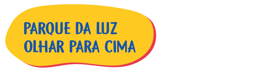09 – Parque da Luz – Olhar para cima