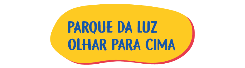 SITE – 09 – Parque da Luz – Olhar para cimaSite